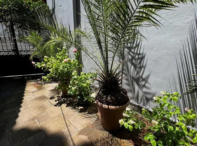 Apartment Grand Veranda