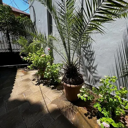 Apartment Grand Veranda